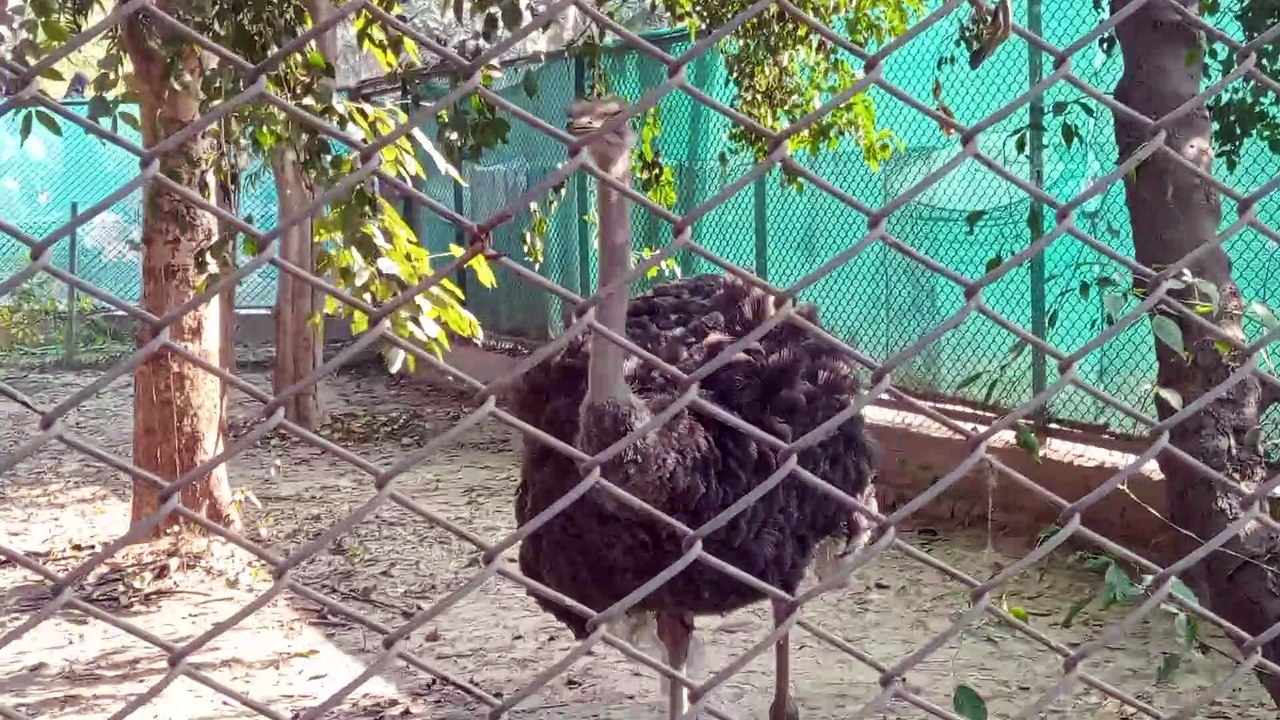 #lucknou_zoo