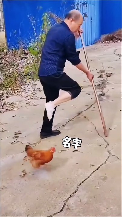 Animals Funny Comedy Videos | Funny Moments | Try Not to Laugh