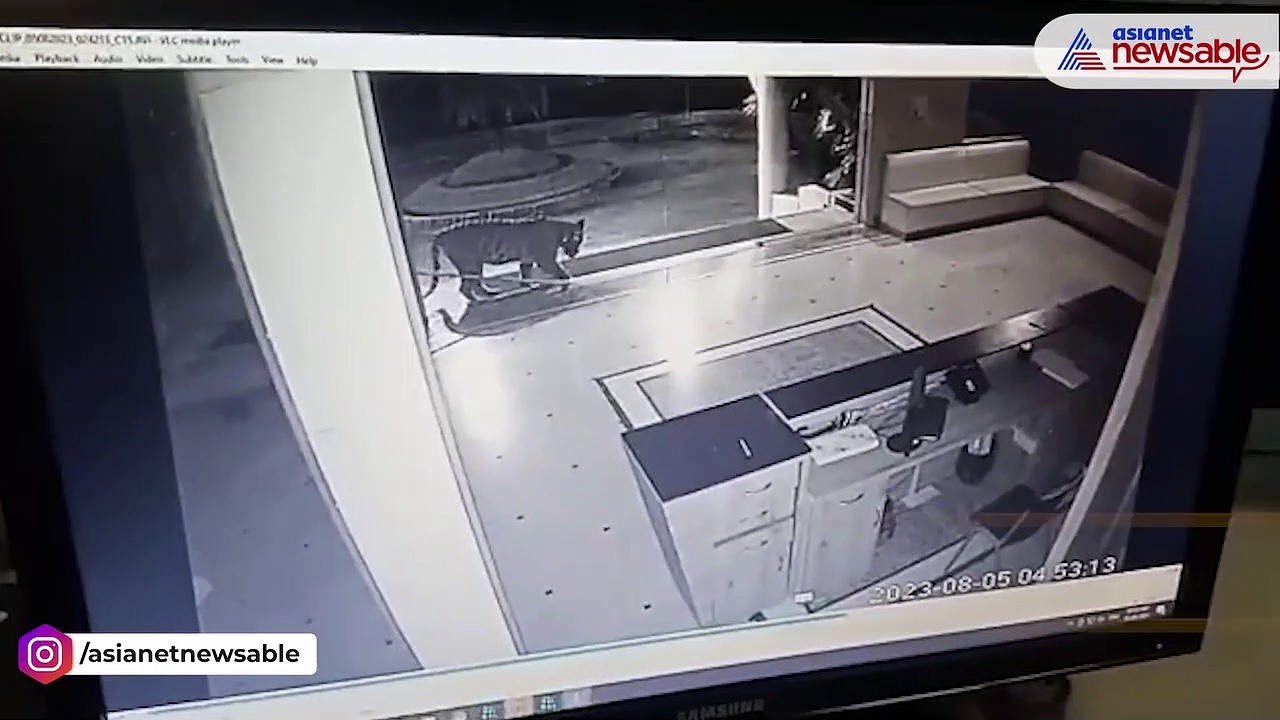 Tiger enters private university campus near Bhopal