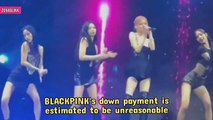 BLACKPINKs Down Payment Is Unreasonable KNetz Wants Lisa to Leave YG Entertainment