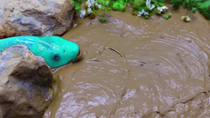 Fish game kids fishing game fees gaming lover