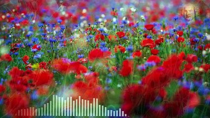 Johann Sebastian Bach- Prelude and Fugue in C-sharp major, BWV 848-REMIX