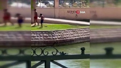 Çocukların Porsuk Çayı'nda tehlikeli serinleme yöntemi