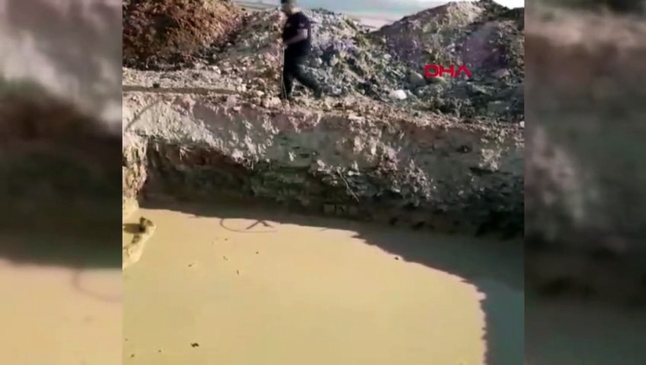 Chien tombé dans un puits de forage à Inegol sauvé par les pompiers