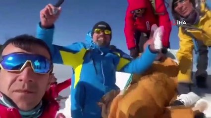 Rasage des cheveux et de la barbe au sommet de la Turquie