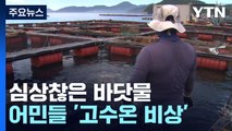 남해안·서해안에 '고수온' 특보...양식 어민 긴장 / YTN