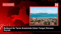 Balıkesir'de Tarım Arazisinde Çıkan Yangın Ormana Sıçradı