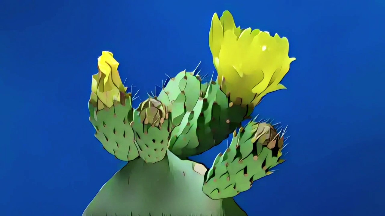 Blooming Cactus | 2 HOURS