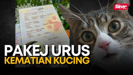 Pakej urus kematian kucing