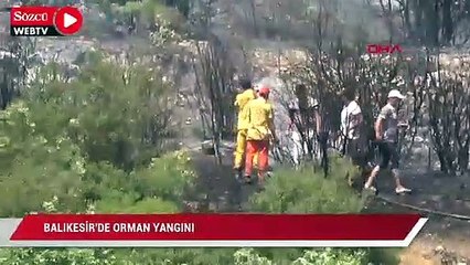 Balıkesir'de orman yangını
