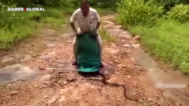 Bir torba dolusu yılanın doğaya salındığı o anlar şaşırttı!