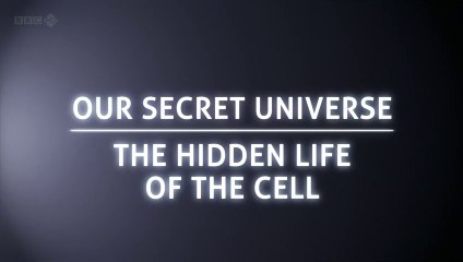 Nuestro Universo Secreto- La Vida Oculta de la Célula (English -  Spanish - Russian - Hebrew Subtitles) - BBC Documentary #DocuEngsub Channel