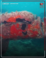 يعود للقرن الثالث قبل الميلاد.. اكتشاف كنز أثري غارق في العلمين