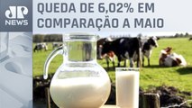 Preço do leite para produtor cai pela segunda vez em junho