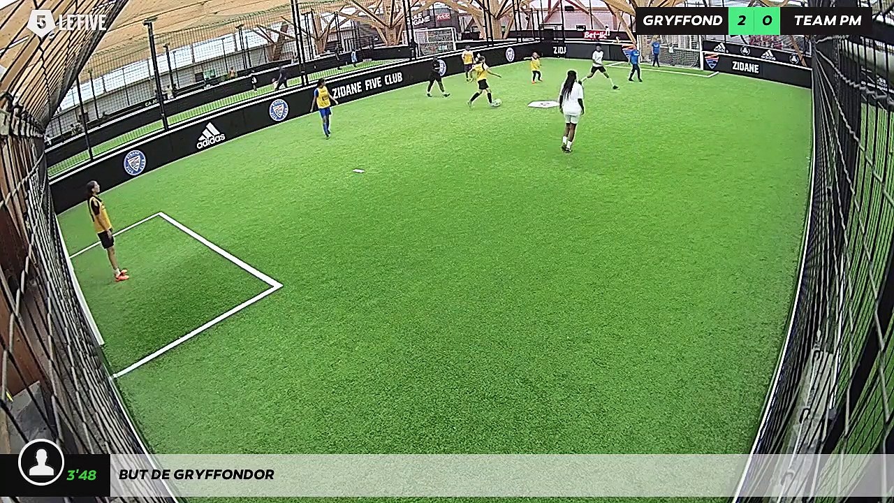 But de GRYFFONDOR