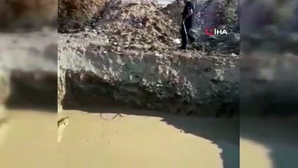 Kuyuya düşen köpeği itfaiye ekipleri kurtardı