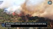 Un incendio arrasa varias hectáreas en Puerto Real (Cádiz)