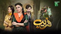 Fareb - Episode 14 - 6th Aug 2023 - [ Zain Baig, Zainab Shabbir , Maria Wasti ] HUM TV