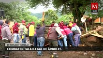 Levan acabo operativos para frenar la tala ilegal de árboles en Topilejo y Huitzilac, Morelos