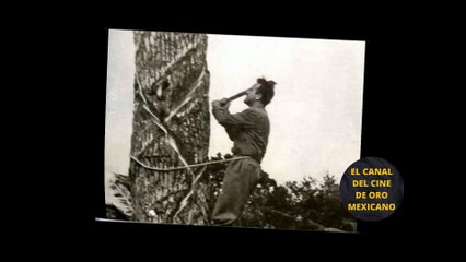 ⭐️Reacción de IRMA DORANTES al enterarse de la muerte de PEDRO INFANTE⭐️