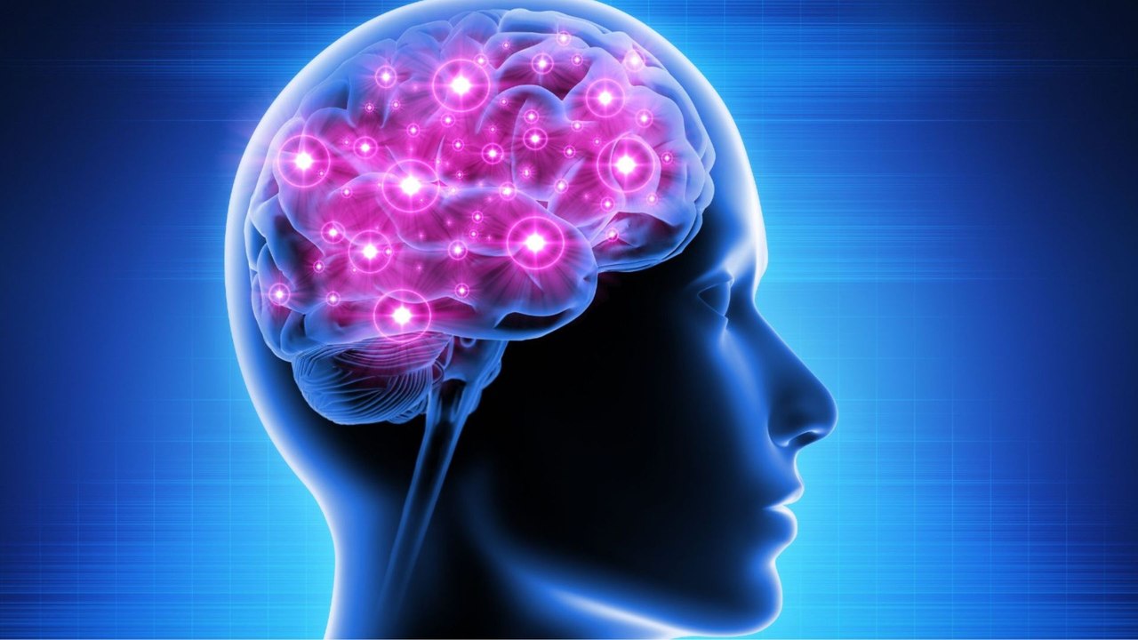 "El cerebro más que retratar la realidad la construye", Mariano Sigman, neurocientífico argentino