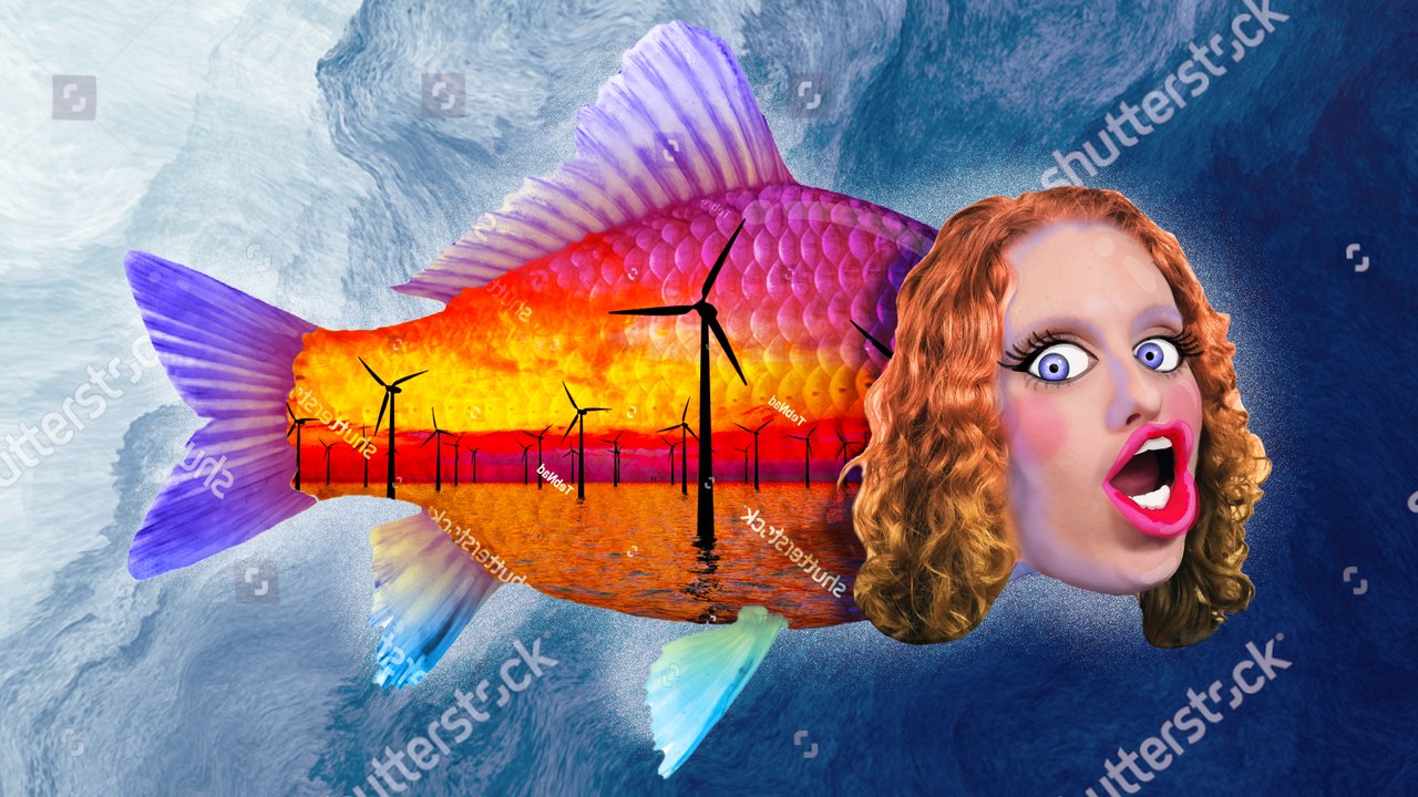  éOLIEN EN MER & BIODIVERSITé : mariage (mal)heureux ?  ft Le Réveilleur & Monsieur Bidouille