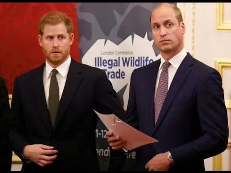 Harry et William avaient une «énorme rivalité» et n'étaient «jamais de bons amis» – même avant la qu