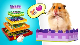 Comment Faire Un Labyrinthe Pour Hamster || Fun Diy!