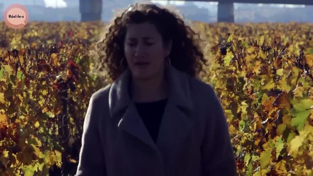 Hyperconnectés : les risques d'un trop plein d'informations | Réel·le·s | DOC COMPLET