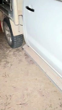 Juste vivre le rêve ici