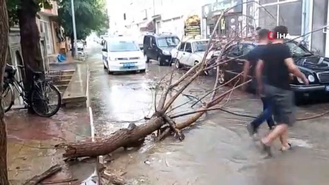 De fortes pluies ont transformé les routes en lacs, renversé des arbres