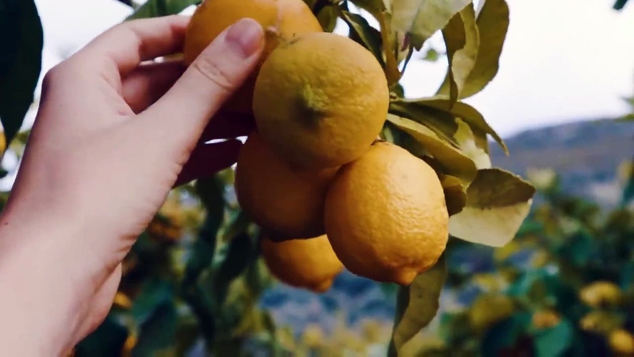 LE JUS DE CITRON LE MATIN | Ce Dont PERSONNE Ne Parle !