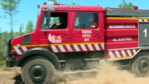Waldbrände wüten in Spanien und Portugal, tausende Hektar zerstört
