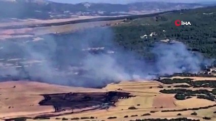 Yangında 14 hektar alanı zarar gördü