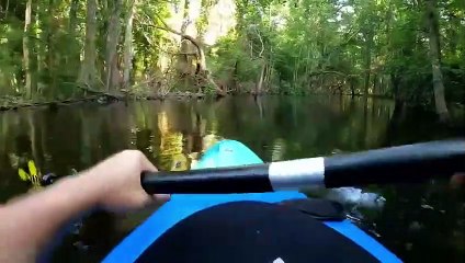 Man Almost Eaten By Crocodile