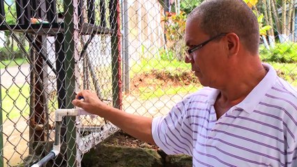 Trece Noticias | Las 13 del trece 15 de agosto 2023