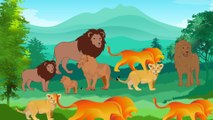 Video animasi - Singa - hutan