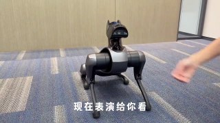 This is the Xiaomi Cyber Dog 2