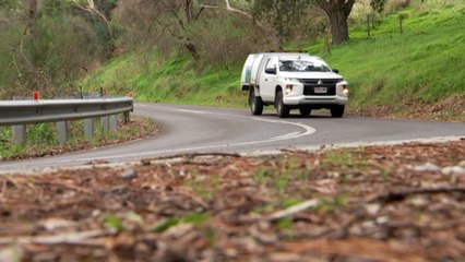 SA triathlete severely injured in collision with kangaroo