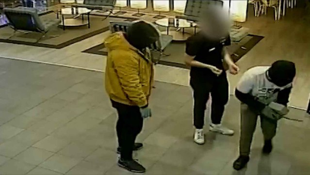 Algunos d elos atracos cometidos por la banda y su detención.