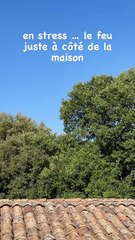 Comme elle l'a raconté sur les réseaux sociaux, l'actrice a eu droit à une sacrée dose d'adrénaline face aux flammes.Vanessa Demouy assiste à un incendie.