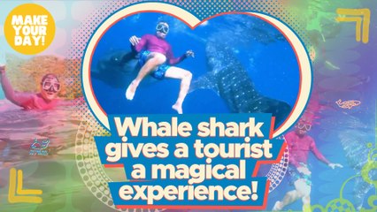 Whale shark gives a tourist a magical experience! | Make Your Day