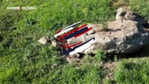 Ardahan'da anne tilki yavrularını emzirirken görüntülendi