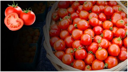 దిగొచ్చిన Tomato ధరలు, కిలో ఎంతంటే..! | Telugu OneIndia