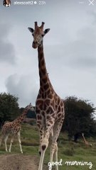 Alex Scott visits Port Lympne
