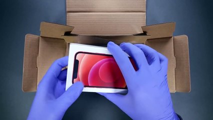 iPhone 12 Mini Unboxing and Camera Test!