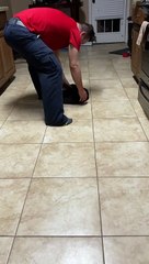 Binxy Loves Being Slid Across the Floor