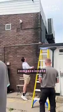 Wholesome Duckling Reunion: Man Reunites Cuties with Mama || Heartsome