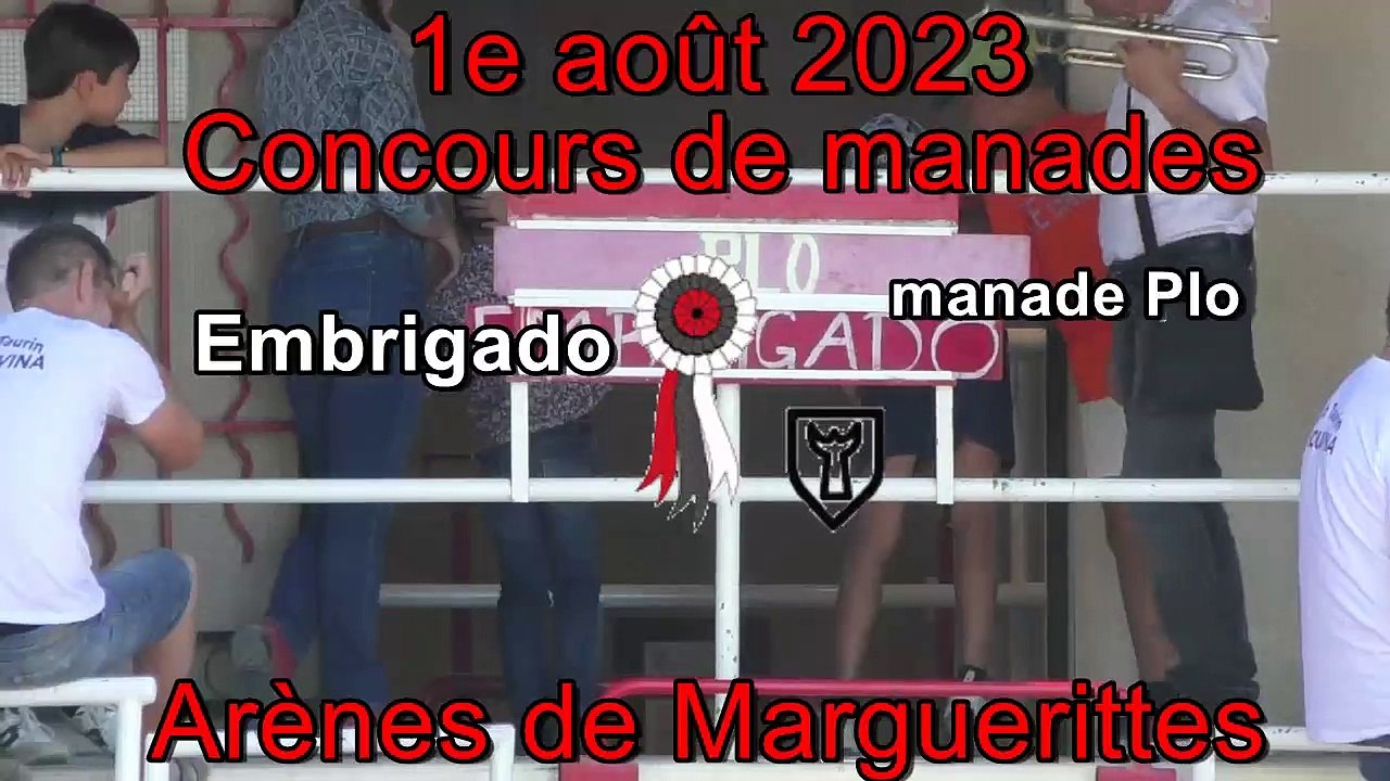 2023 08 01 Embrigado