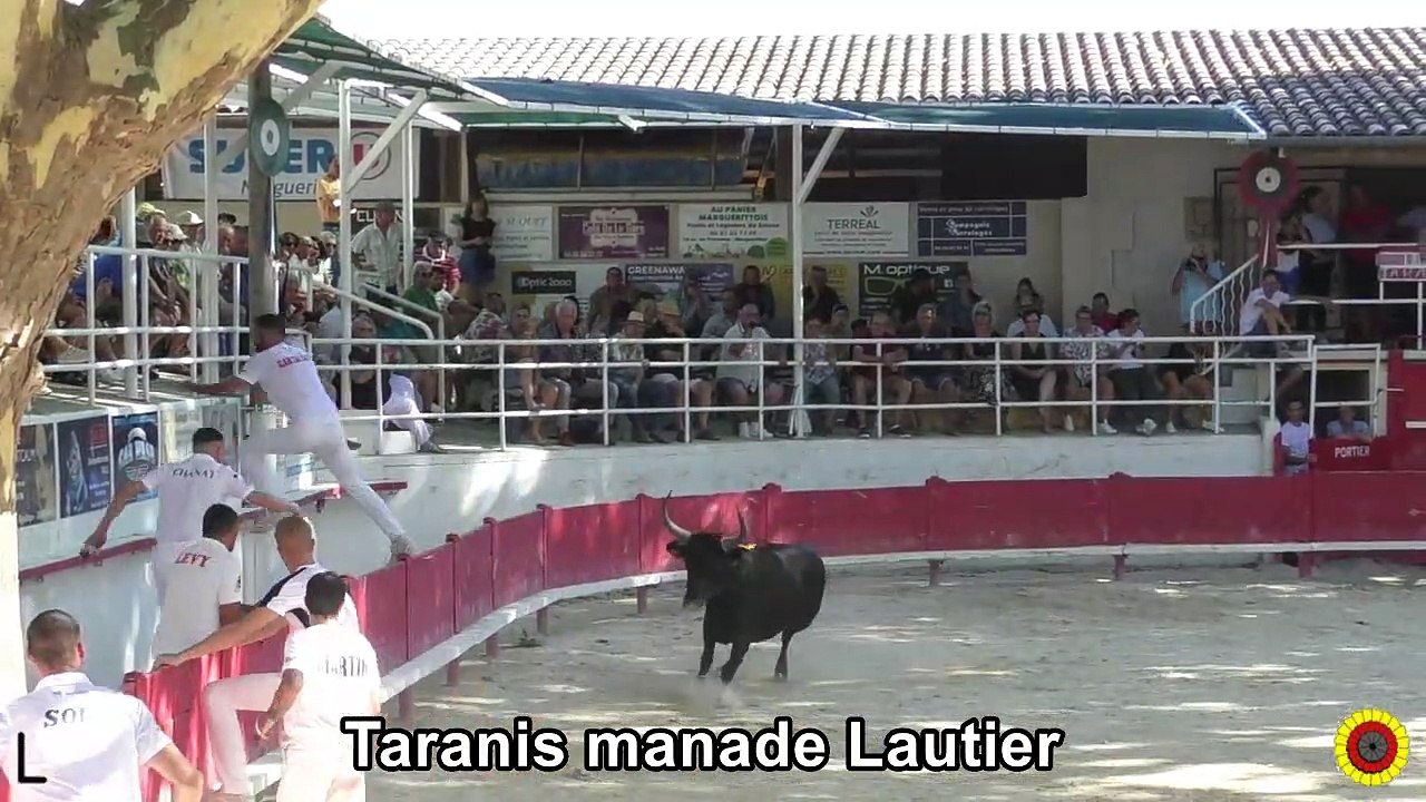 2023 08 01 Taranis
